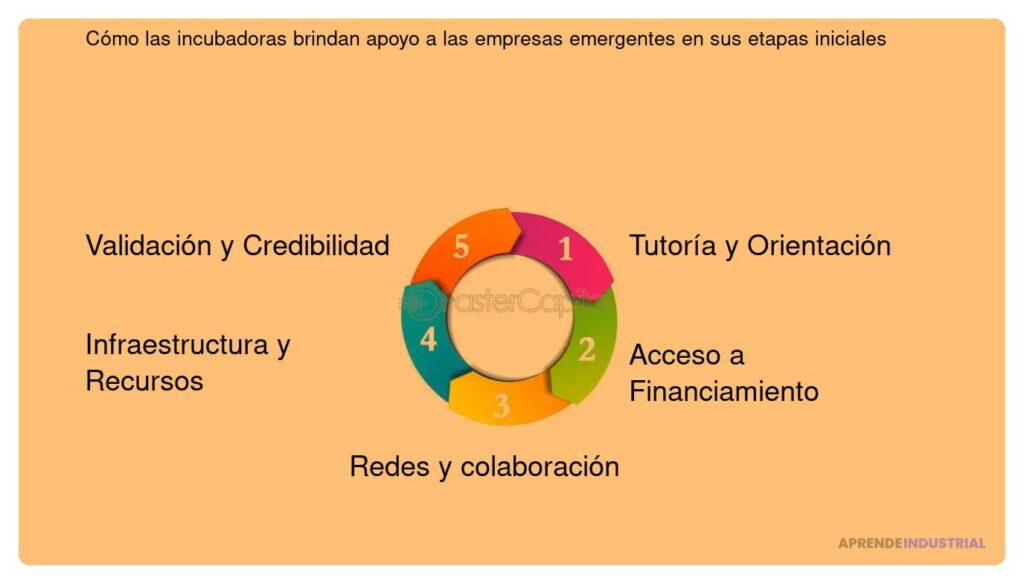 Apoyo a startups en el proceso de inversión inicial