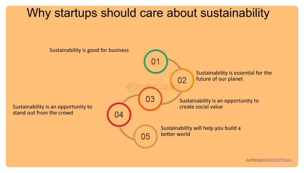 Beneficios clave de ser una startup ecológica y sostenible