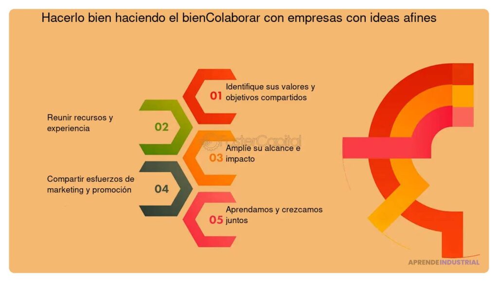 Beneficios de la colaboración entre startups en la inversión