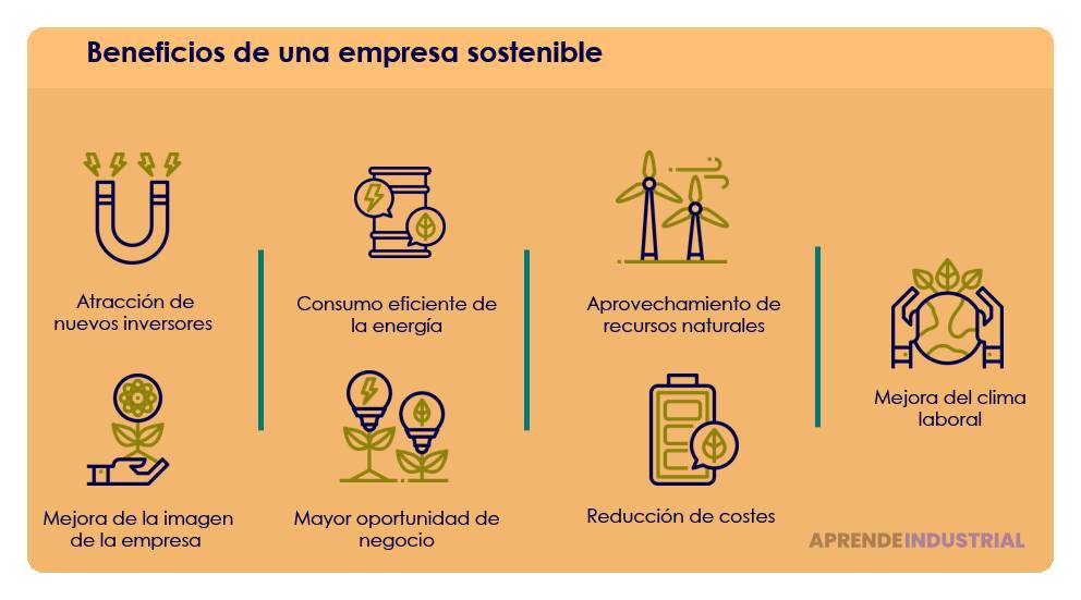 Beneficios de la sostenibilidad para la rentabilidad