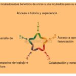 Beneficios de un programa de incubación intensivo: una exploración