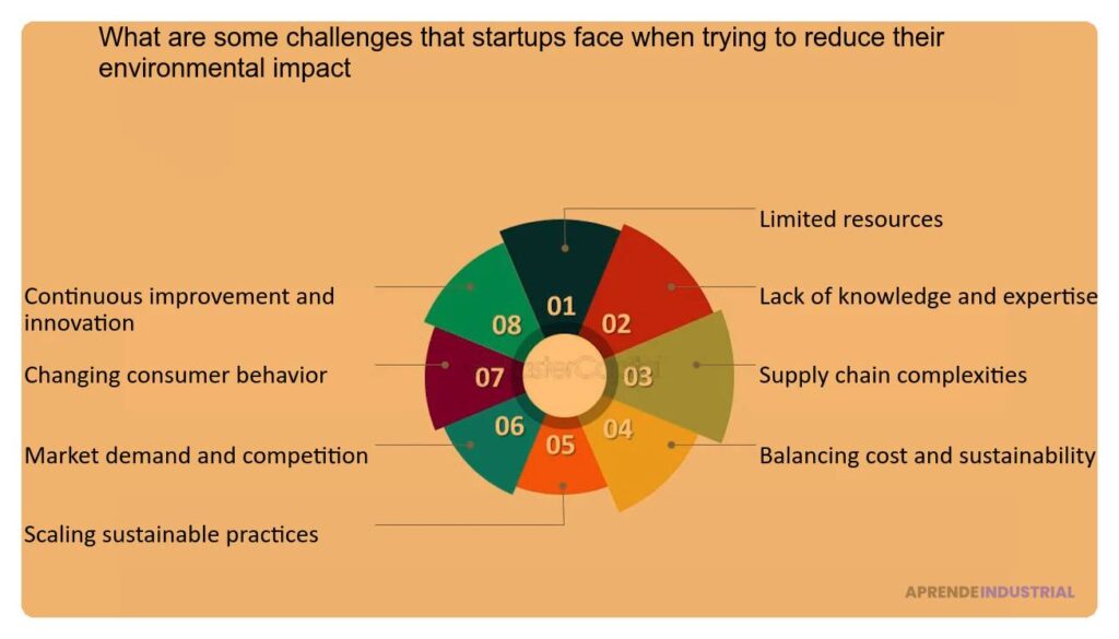 Casos de estudio sobre startups y su impacto ambiental