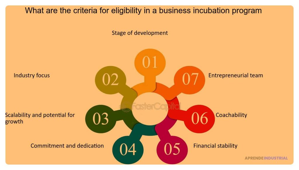 Ciclo de vida típico de una incubadora de emprendedores