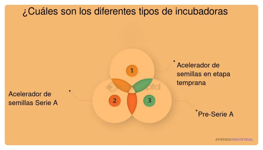 Clasificación y características de los tipos de incubadoras