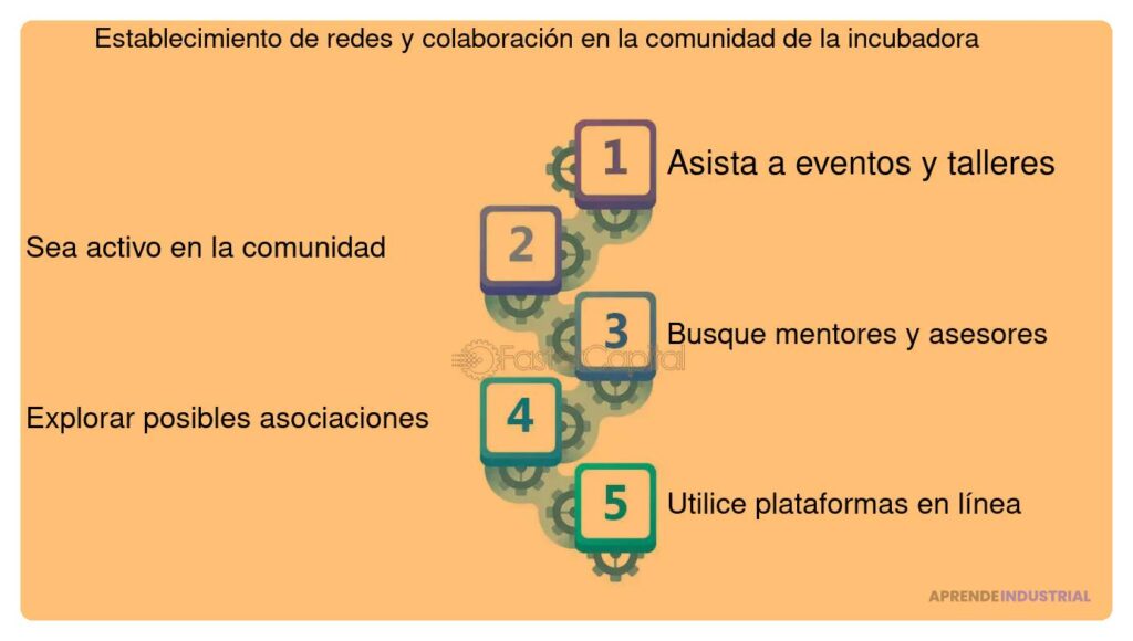 Claves para tener éxito en una relación con una incubadora