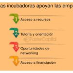 Cómo ayudan las incubadoras a escalar un negocio