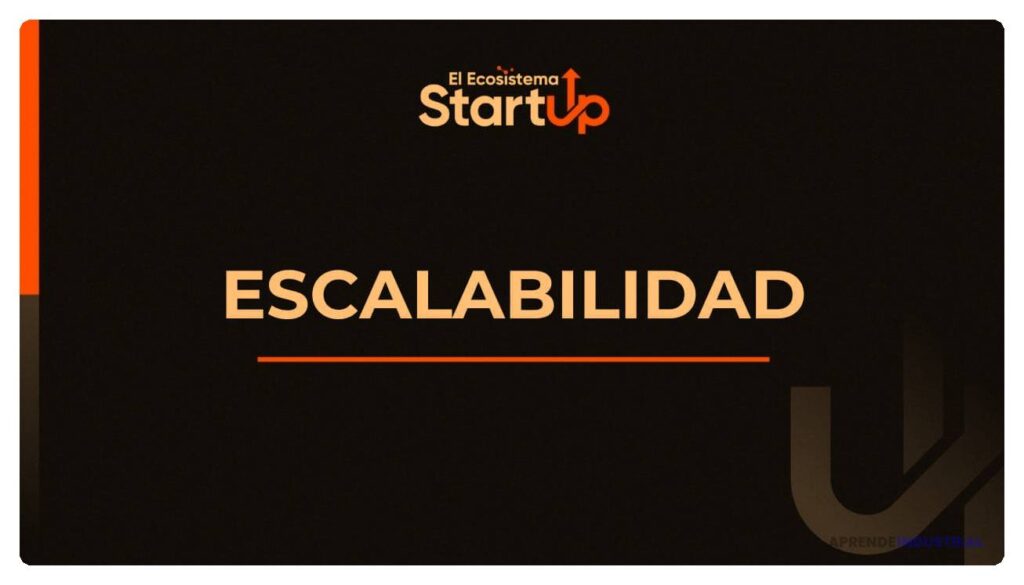 Cómo el ecosistema de startups apoya la escalabilidad