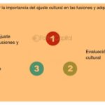 Cómo evaluar el ajuste cultural entre cliente y mentor