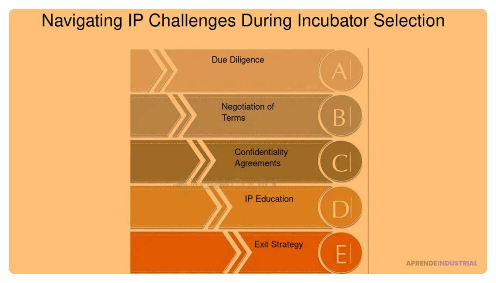 Cómo gestionar la propiedad intelectual en incubadoras