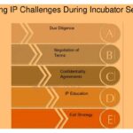 Cómo gestionar la propiedad intelectual en incubadoras