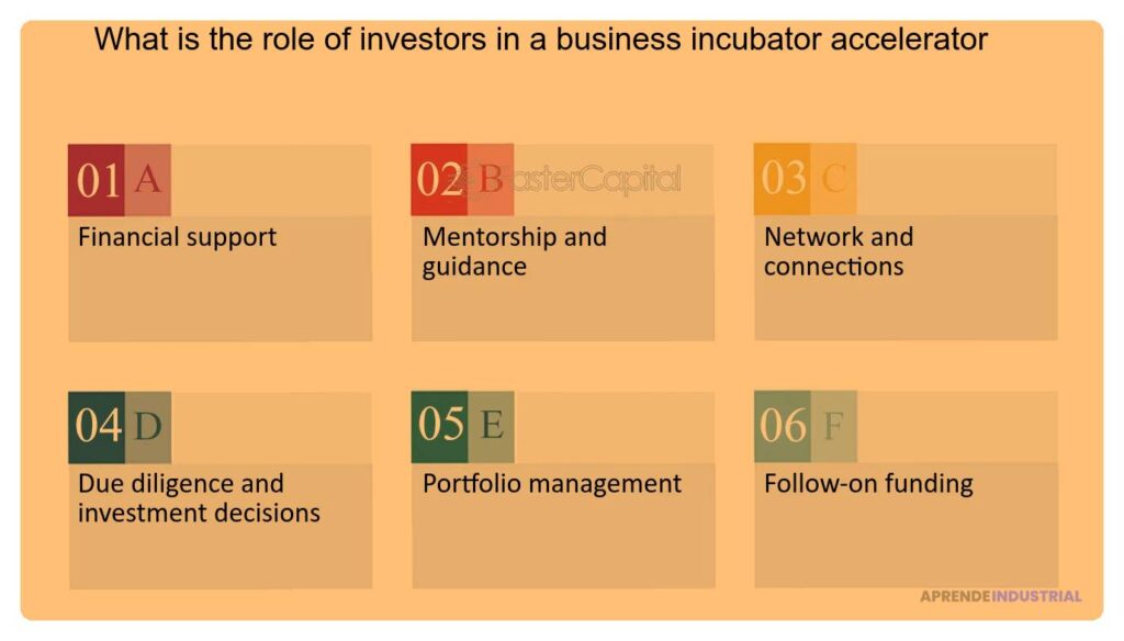 Cuál es el papel de los inversores en las aceleradoras