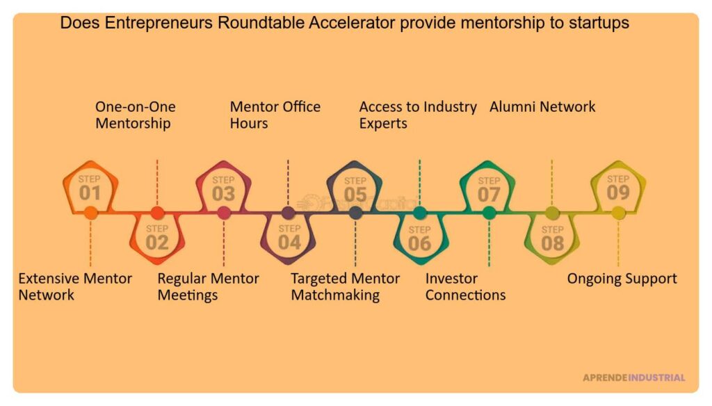 Cuál es el perfil típico de un mentor en una aceleradora