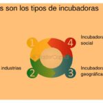 Cuáles son los requisitos de entrada para incubadoras