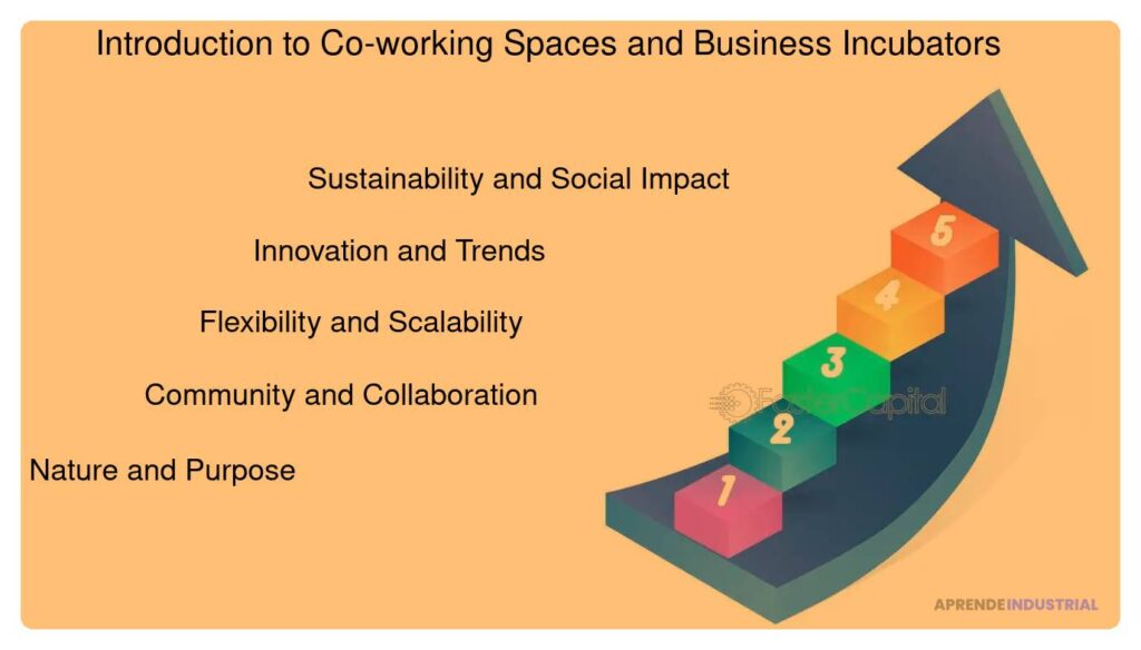 Diferencias clave entre incubadoras y espacios de coworking