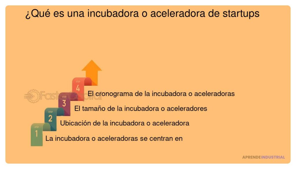 Diferencias en soporte de incubadoras para startups tecnológicas y no tecnológicas