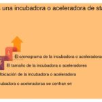 Diferencias en soporte de incubadoras para startups tecnológicas y no tecnológicas