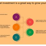 Diferencias entre un 'growth investor' y un 'angel investor'