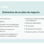 Documentación del proceso de creación del plan de negocio