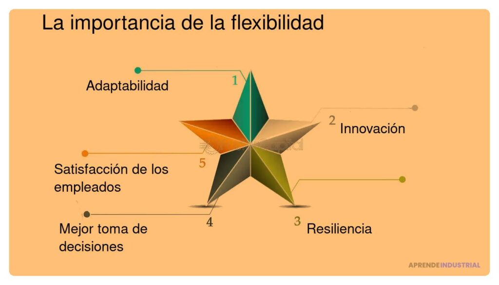 El papel de la flexibilidad en la búsqueda de inversión