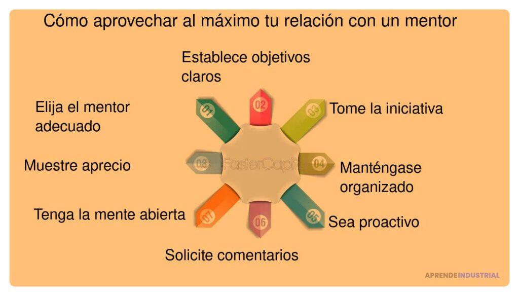 El rol de la mentoría en la creación de ideas innovadoras