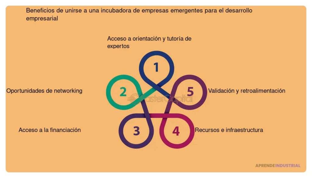 Errores Comunes al Unirse a una Incubadora de Empresas