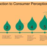 Factores que influyen en la percepción de marca en consumidores