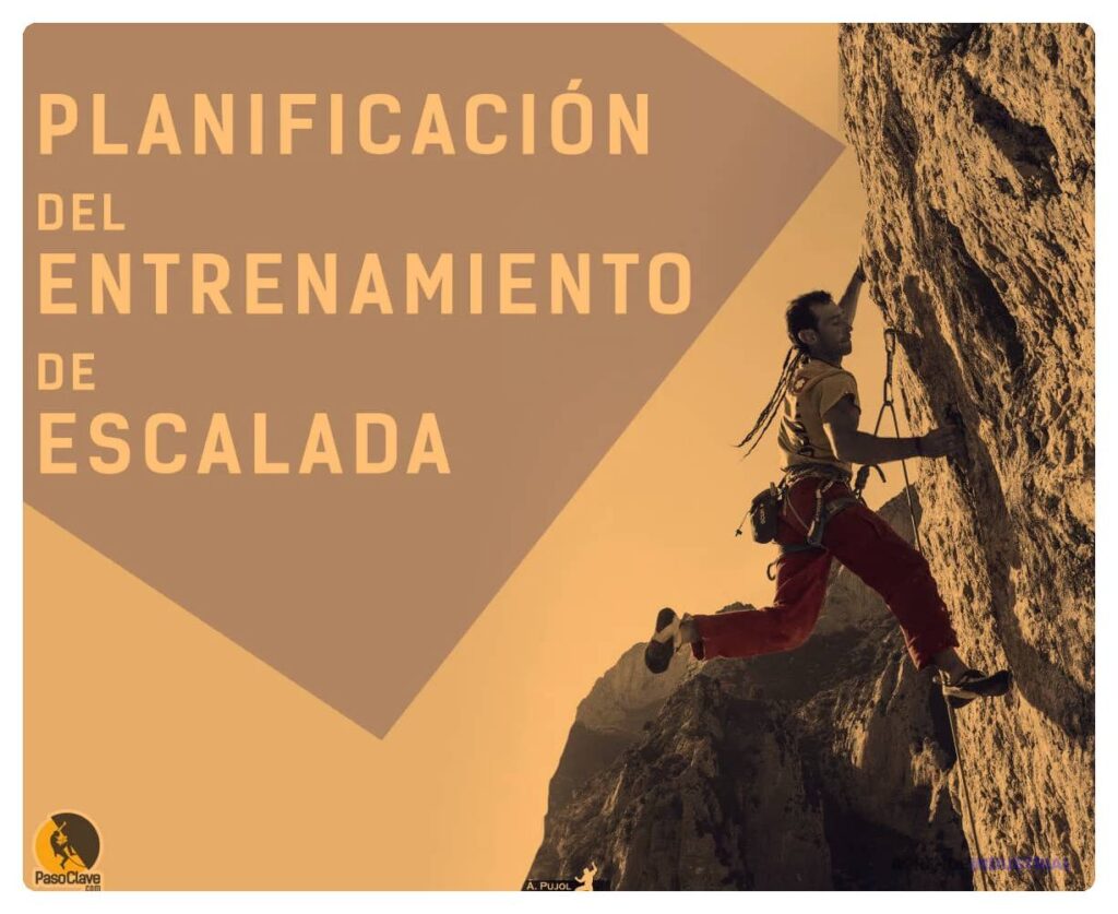 Feedback clave para escalar en un entorno profesional