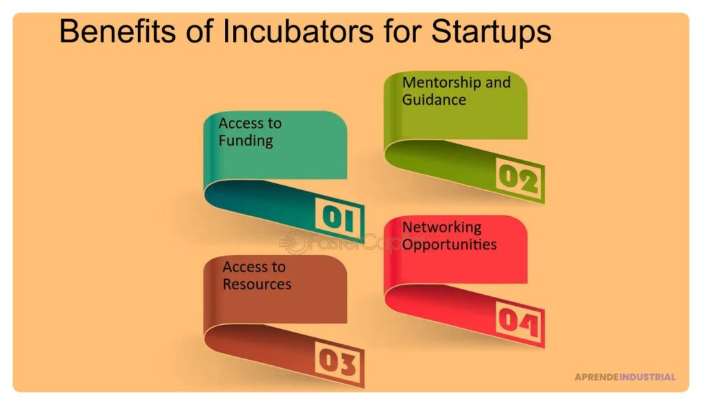 Formación integral de incubadoras para emprendedores y startups