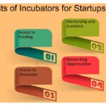 Formación integral de incubadoras para emprendedores y startups