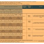 Guía completa sobre encuestas de cohortes explicadas