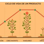 Guía para utilizar eficazmente los ciclos de vida del producto