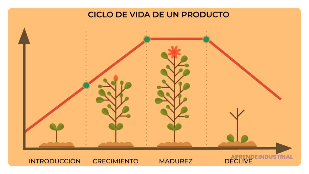 Guía para utilizar eficazmente los ciclos de vida del producto