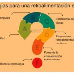 Guía práctica para establecer normas y expectativas claras