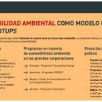 Impacto del cambio climático en startups: retos y oportunidades