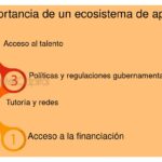 Importancia del ecosistema de apoyo en incubadoras de negocios