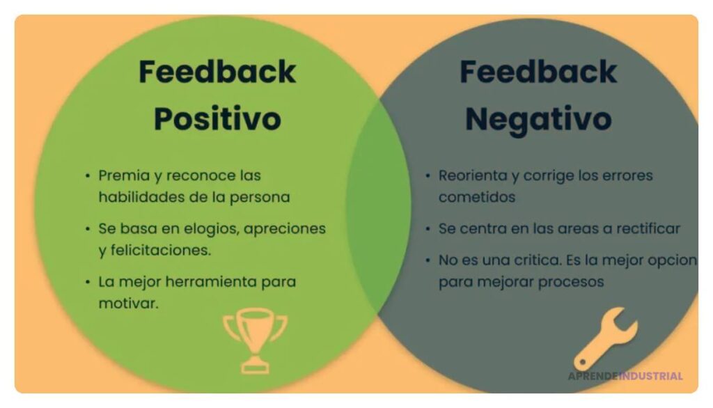 Importancia del feedback en el crecimiento personal y desarrollo