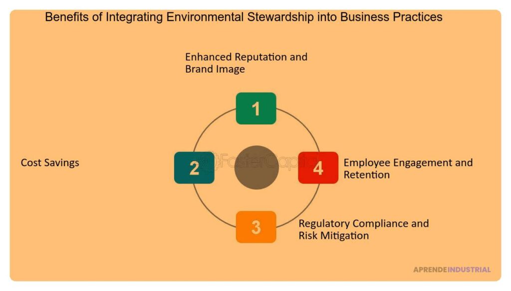 Importancia del stewardship ambiental en la empresa moderna