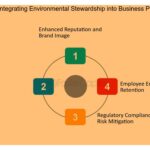 Importancia del stewardship ambiental en la empresa moderna