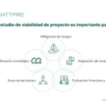 Importancia y aspectos clave en el estudio de viabilidad