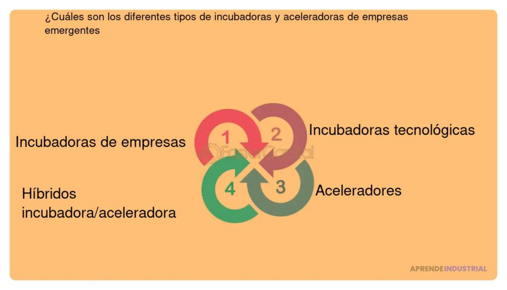 Incubadoras versus aceleradoras: cuál elegir para tu startup