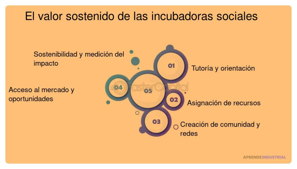 Incubadoras y su competencia internacional: estrategias y retos