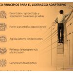 Liderazgo adaptativo: definición y su aplicación en equipos