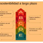 Mentoría: clave para el desarrollo de startups sostenibles