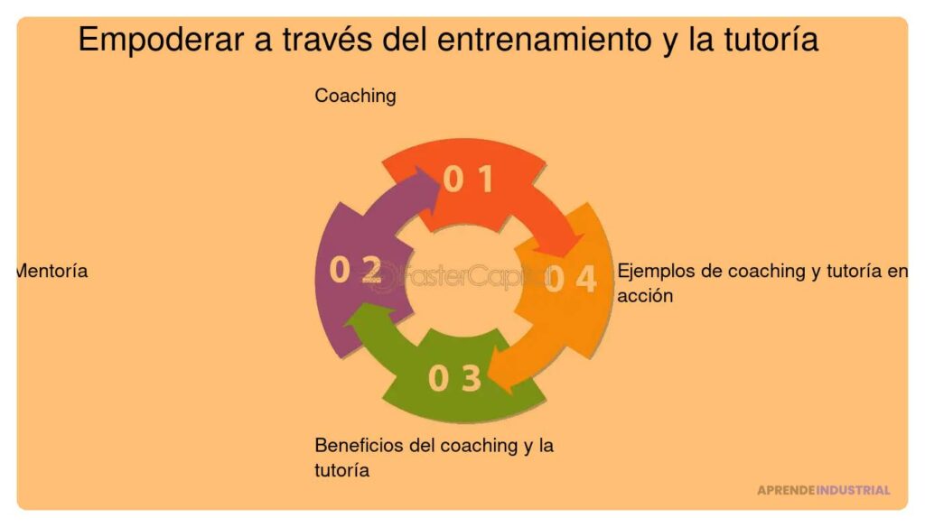 Mentoría y formación: son complementarios o competidores