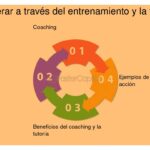 Mentoría y formación: son complementarios o competidores