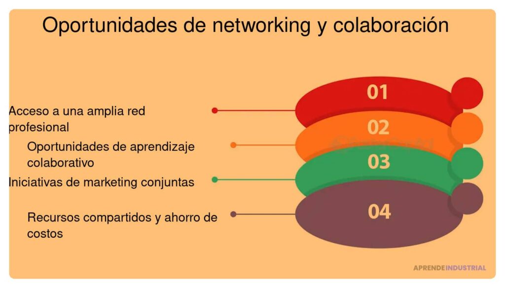 Oportunidades de colaboración a través del networking