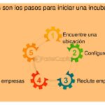 Pasos esenciales para crear tu propia incubadora de ideas