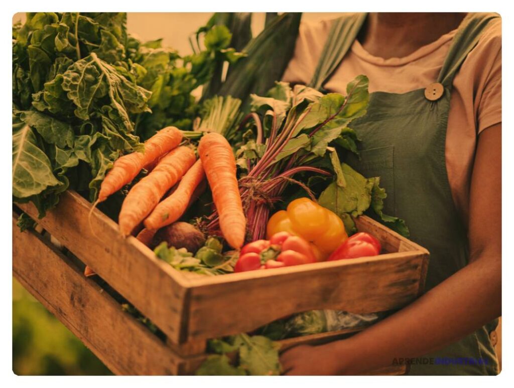 Prácticas de sostenibilidad en la industria alimentaria