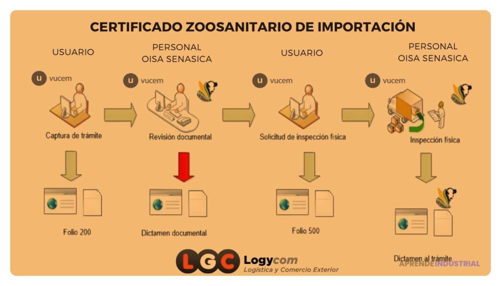 Qué aspectos legales considerar al importar productos