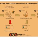 Qué aspectos legales considerar al importar productos